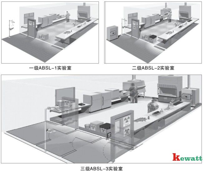 不同微生物实验室的3D立体图